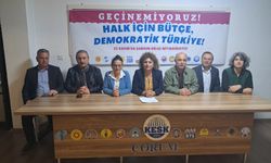 KESK Eş Genel Başkanı Koçak: “Gelir  adaletsizliğinin sorumlularını biliyoruz”