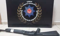 Asayiş operasyonlarında  çok sayıda silah ele geçirildi