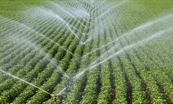 Çiftçiye 306 milyonluk  tarımsal destek ödemesi