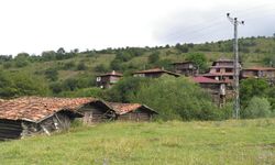 Çorum'da 8 köyde hazine arazileri satışa çıktı! İşte o köyler ve ihale tarihi