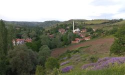 Çorum'da 67 hazine arazisi satışa çıktı! İşte ihale tarihi