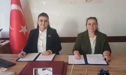 Şapinuva tabletleri “UNESCO Dünya Belleği Listesi” yolunda