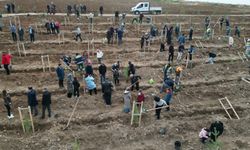Nadık Şehir Ormanı’nda ilk ağaçlar toprakla buluştu
