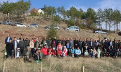 İskilip'te 200 meyve fidanı toprakla buluştu