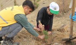 Oğuzlar'da fidan dikim etkinliği düzenlendi
