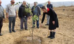 Mecitözü'nde "Milli Ağaçlandırma Günü" kapsamında fidan dikimi yapıldı