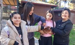 Minikler barınakta hayvanlarla buluştu