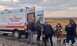 Kontrolden çıkan minibüs tarlaya devrildi: 3 yaralı