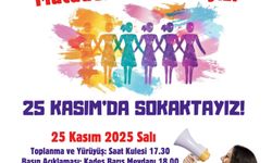 Çorum'da kadınlar şiddete karşı alanlara çıkacak