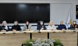 Kayadibi: “Kadına yönelik şiddet insanlık suçudur”