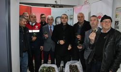 Çorum'da çiftçilere çilek fidesi ile ceviz fidanı dağıtıldı
