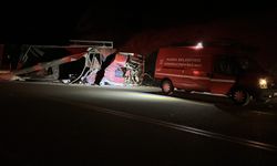 Balık yemi yüklü kamyon  şarampole devrildi: 1 yaralı