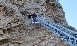 Kayalıklarda mahsur kalan  4 keçiyi itfaiye kurtardı