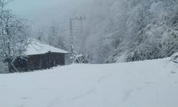 Çorum - Samsun Karayolu'nda kar yağışı etkili oluyor