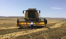 Çiftçiye 711.9 milyon tarımsal destek ödemesi
