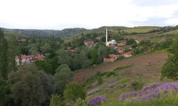 Çorum’da 20 köyde 67 adet hazine arazisi satışa çıktı! İşte o köyler