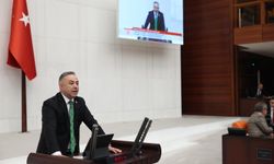 Tahtasız: “İktidarın kara kaplı defterinde bir tek utanma yok”