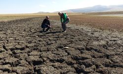 Uzmanı uyardı: “Kuraklık Çorum için alarm veriyor.”