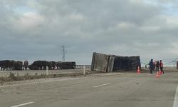 Çorum’da hayvan yüklü TIR devrildi