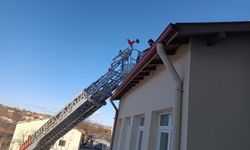 Binanın çatısında mahsur kalan  kediyi itfaiye ekibi kurtardı