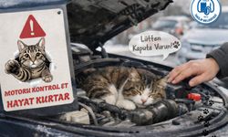 İskilip Belediyesi’nden vatandaşa hayati uyarı:  “Kaputa vur, hayat kurtar”