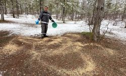 Soğuk kış günlerinde yaban  hayvanları unutulmadı