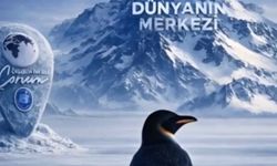 Penguen sürüden ayrılırken belediyeler boş durmadı