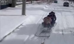 Çorumlu gençler kendi yaptıkları kızakla karın tadını böyle çıkardı