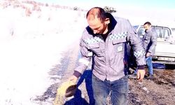 Ortaköy Belediyesi’nden  yaban hayatına kış desteği