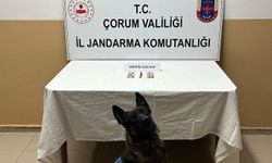 Uyuşturucu hapla yakalanan 3 kişi gözaltına alındı