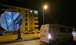 Şehir magandaları iş başında