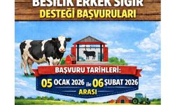 Besilik sığır destekleme müracaatları başladı