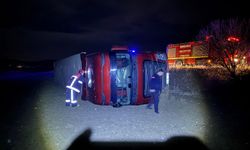 Köpeğe çarpmamak için manevra yapan TIR şarampole devrildi