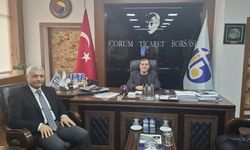 Bülent İnce, Merzifon’a atandı