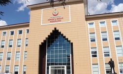 Sağlık tesislerine raporlama hizmet alımı yapılacaktır