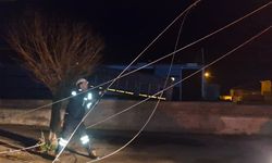 Alaca'da kamyon, elektrik ve  telefon hatlarına zarar verdi