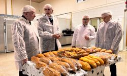 Tam buğday ekmeği  tüketimi yaygınlaştırılıyor