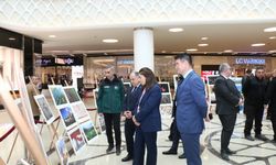 Ödüllü doğa fotoğrafları  AHL Park’ta sergileniyor