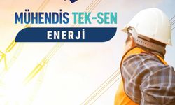 Mühendis Tek-Sen Enerji Karadeniz Şubesi kuruldu