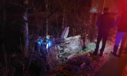 Çorum’da şarampole devrilen otomobilin sürücüsü yaralandı