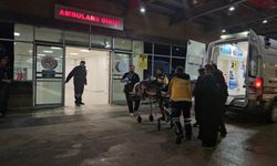 Yaşlı çift sobadan zehirlendi