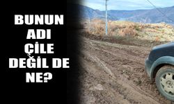 Bunun adı çile değil de ne?