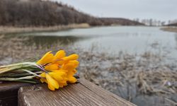 Boğazkale'de baharın habercisi çiğdemler açtı