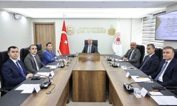 “Sahipsiz sokak hayvanları konusunda önemli ilerleme kaydedildi”