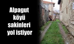 Alpagut köyü sakinleri yol istiyor
