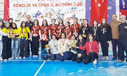 Okullarda satranç takım şampiyonları belli oldu