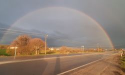 Yağmurun ardından  gelen renk cümbüşü