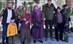 Kargı'da vatandaşlara  400 fidan dağıtıldı