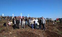 YEDAŞ, yüzlerce fidanı  toprakla buluşturdu