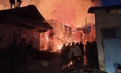 Köyde korkutan yangın: Evler ve ahırlar küle döndü